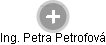 Petra Petrofová - Vizualizace  propojení osoby a firem v obchodním rejstříku