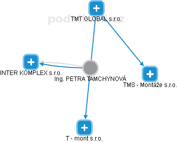 PETRA TAMCHYNOVÁ - Vizualizace  propojení osoby a firem v obchodním rejstříku