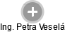  Petra V. - Vizualizace  propojení osoby a firem v obchodním rejstříku