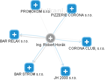 Robert Horák - Vizualizace  propojení osoby a firem v obchodním rejstříku