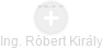 Róbert Király - Vizualizace  propojení osoby a firem v obchodním rejstříku