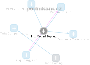 Robert Topiarz - Vizualizace  propojení osoby a firem v obchodním rejstříku