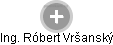  Róbert V. - Vizualizace  propojení osoby a firem v obchodním rejstříku