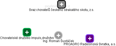Roman Šustáček - Vizualizace  propojení osoby a firem v obchodním rejstříku