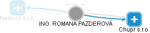  Romana P. - Vizualizace  propojení osoby a firem v obchodním rejstříku