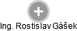  Rostislav G. - Vizualizace  propojení osoby a firem v obchodním rejstříku