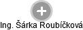 Šárka Roubíčková - Vizualizace  propojení osoby a firem v obchodním rejstříku