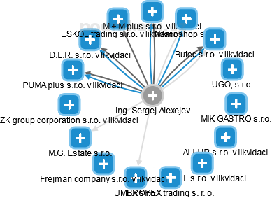 Sergej Alexejev - Vizualizace  propojení osoby a firem v obchodním rejstříku