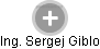  Sergej G. - Vizualizace  propojení osoby a firem v obchodním rejstříku