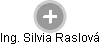 Silvia Raslová - Vizualizace  propojení osoby a firem v obchodním rejstříku