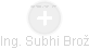  Subhi B. - Vizualizace  propojení osoby a firem v obchodním rejstříku