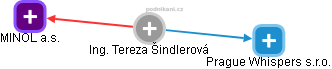 Tereza Šindlerová - Vizualizace  propojení osoby a firem v obchodním rejstříku