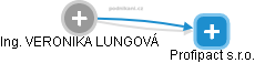 VERONIKA LUNGOVÁ - Vizualizace  propojení osoby a firem v obchodním rejstříku