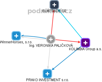 VERONIKA PALIČKOVÁ - Vizualizace  propojení osoby a firem v obchodním rejstříku
