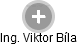 Viktor Bíla - Vizualizace  propojení osoby a firem v obchodním rejstříku