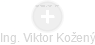 Viktor Kožený - Vizualizace  propojení osoby a firem v obchodním rejstříku