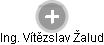  Vítězslav Ž. - Vizualizace  propojení osoby a firem v obchodním rejstříku
