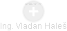  Vladan H. - Vizualizace  propojení osoby a firem v obchodním rejstříku