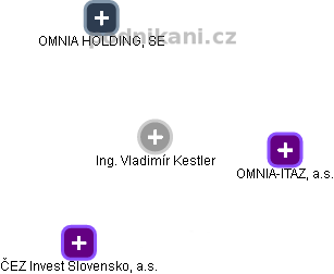 Vladimír Kestler - Vizualizace  propojení osoby a firem v obchodním rejstříku