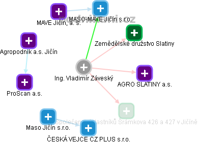 Vladimír Záveský - Vizualizace  propojení osoby a firem v obchodním rejstříku