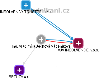  Vladimíra V. - Vizualizace  propojení osoby a firem v obchodním rejstříku