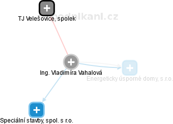  Vladimíra V. - Vizualizace  propojení osoby a firem v obchodním rejstříku