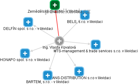 Vlasta Kovalová - Vizualizace  propojení osoby a firem v obchodním rejstříku