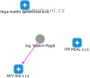 Vojtěch Rygál - Vizualizace  propojení osoby a firem v obchodním rejstříku