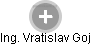  Vratislav G. - Vizualizace  propojení osoby a firem v obchodním rejstříku