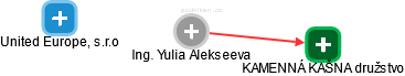 Yulia Alekseeva - Vizualizace  propojení osoby a firem v obchodním rejstříku