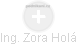  Zora H. - Vizualizace  propojení osoby a firem v obchodním rejstříku