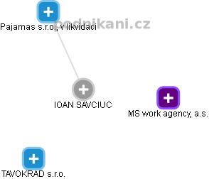 IOAN SAVCIUC - Vizualizace  propojení osoby a firem v obchodním rejstříku