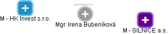  Irena B. - Vizualizace  propojení osoby a firem v obchodním rejstříku