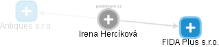  Irena H. - Vizualizace  propojení osoby a firem v obchodním rejstříku