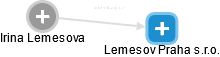 Irina Lemesova - Vizualizace  propojení osoby a firem v obchodním rejstříku