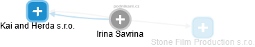Irina Savrina - Vizualizace  propojení osoby a firem v obchodním rejstříku