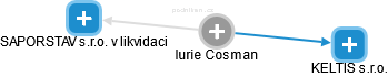Iurie Cosman - Vizualizace  propojení osoby a firem v obchodním rejstříku