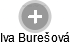 Iva Burešová - Vizualizace  propojení osoby a firem v obchodním rejstříku
