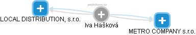 Iva Hašková - Vizualizace  propojení osoby a firem v obchodním rejstříku