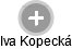 Iva Kopecká - Vizualizace  propojení osoby a firem v obchodním rejstříku