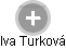 Iva Turková - Vizualizace  propojení osoby a firem v obchodním rejstříku