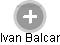 Ivan Balcar - Vizualizace  propojení osoby a firem v obchodním rejstříku