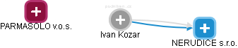 Ivan Kozar - Vizualizace  propojení osoby a firem v obchodním rejstříku