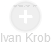 Ivan Krob - Vizualizace  propojení osoby a firem v obchodním rejstříku