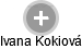 Ivana Kokiová - Vizualizace  propojení osoby a firem v obchodním rejstříku