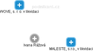  Ivana R. - Vizualizace  propojení osoby a firem v obchodním rejstříku