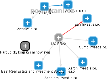 IVO PRAX - Vizualizace  propojení osoby a firem v obchodním rejstříku
