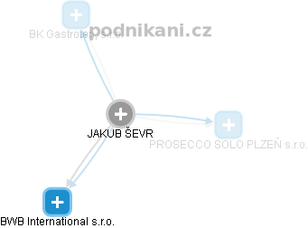 JAKUB ŠEVR - Vizualizace  propojení osoby a firem v obchodním rejstříku