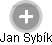 Jan Sybík - Vizualizace  propojení osoby a firem v obchodním rejstříku