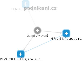  Jarmila P. - Vizualizace  propojení osoby a firem v obchodním rejstříku